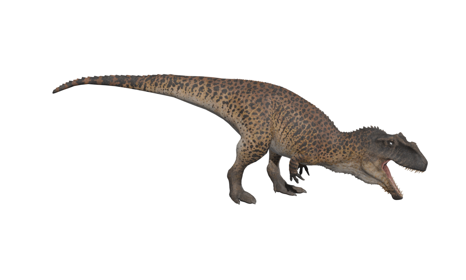 Giganotosaurus local model in its threat call pose