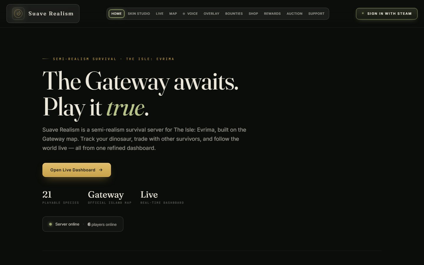 Suave Realism website portfolio capture